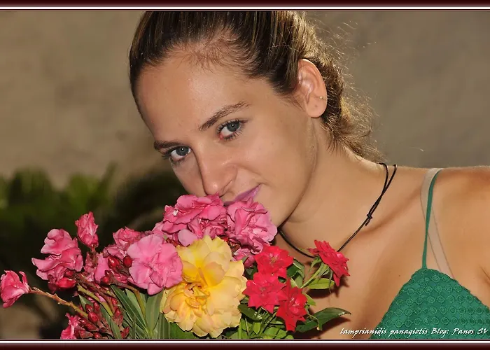 The Dragon Of Rhodes 3* Rhodes City