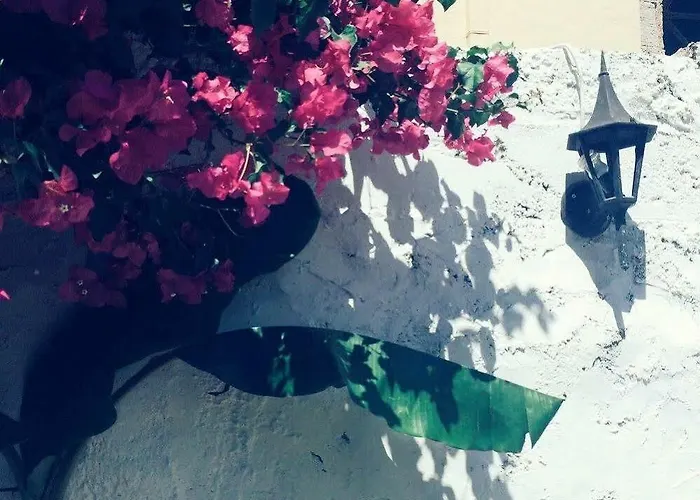 The Dragon Of Rhodes Otel