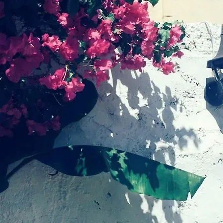 The Dragon Of Rhodes Szálloda