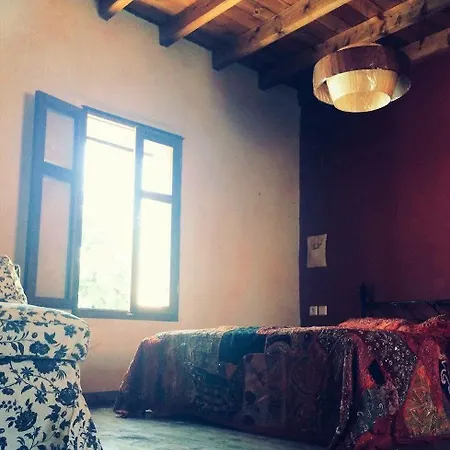 The Dragon Of Rhodes Rhodes City