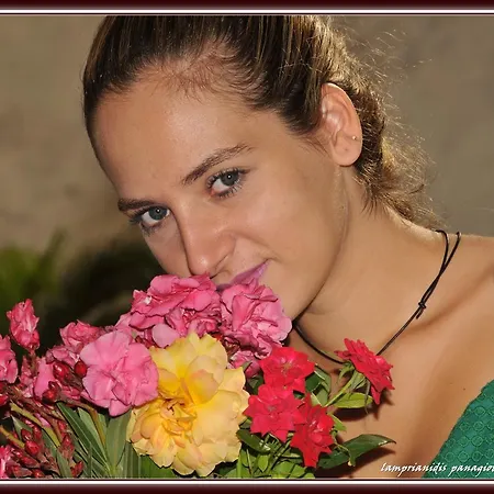 The Dragon Of Rhodes 3* Rhodes City